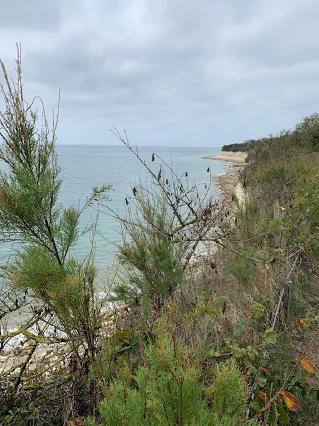 Plage