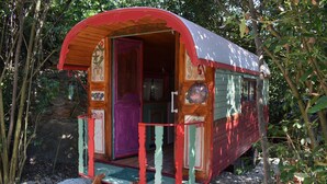 A small, colorful wooden structure with a porch, a door, and a window. - Charming caravan in a green setting near the beach (Vallauris)