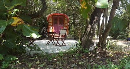 Charming caravan in a green setting near the beach