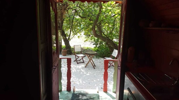 An open doorway leading to an outdoor seating area with a table and chairs, surrounded by trees. - Charming caravan in a green setting near the beach (Vallauris)
