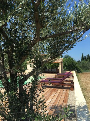 Property grounds - MAS WITH SWIMMING POOL IN DRÔME PROVENÇALE (Tulette)