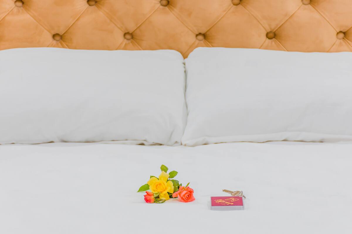Singola Standard | Minibar, tende oscuranti, lenzuola