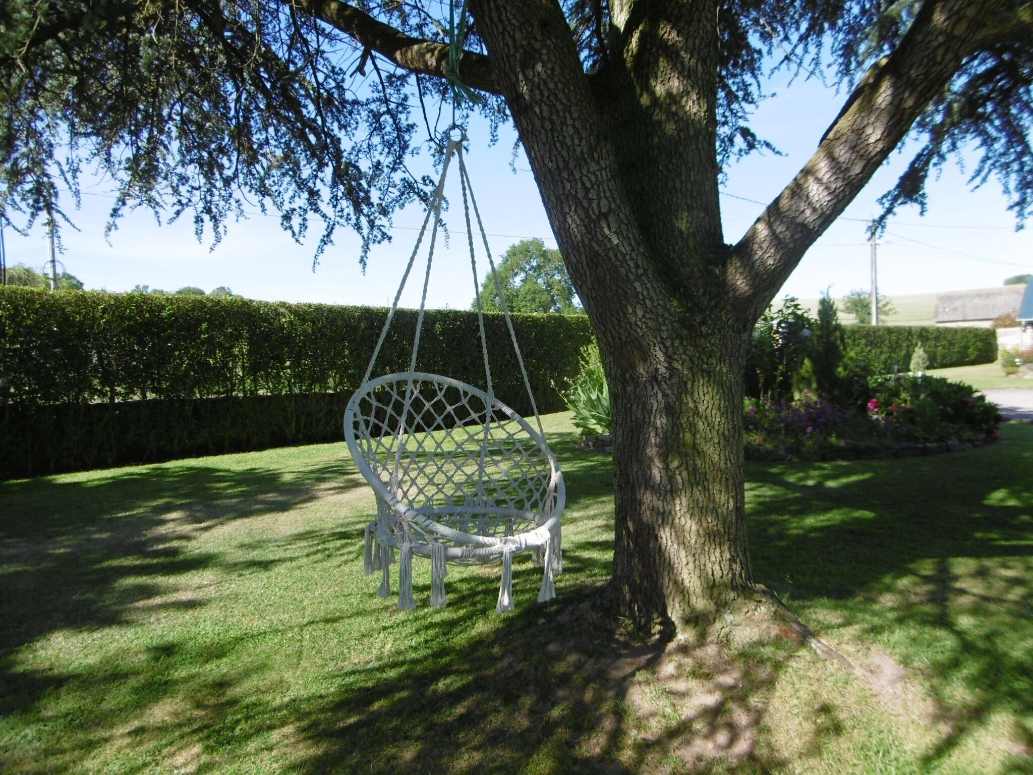 Une balançoire blanche suspendue à une branche d’arbre dans un jardin bien entretenu, avec une haie et des fleurs en arrière-plan.
