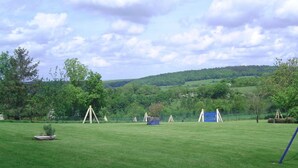 Un champ d’herbe avec des balançoires et une structure de jeux bleue.