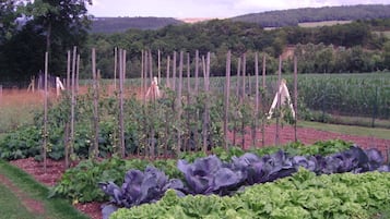 Áreas de la propiedad