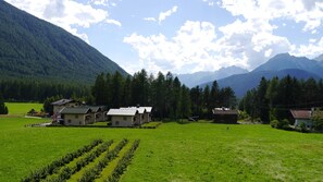 1 Schlafzimmer, Allergikerbettwaren, kostenloses WLAN, Bettwäsche