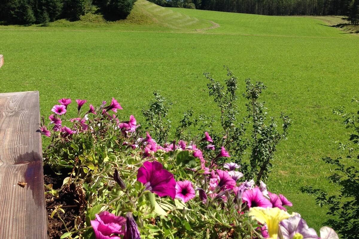 Appartement Confort, 1 chambre, balcon, vue jardin | 1 chambre, literie hypoallergénique, Wi-Fi gratuit, draps fournis