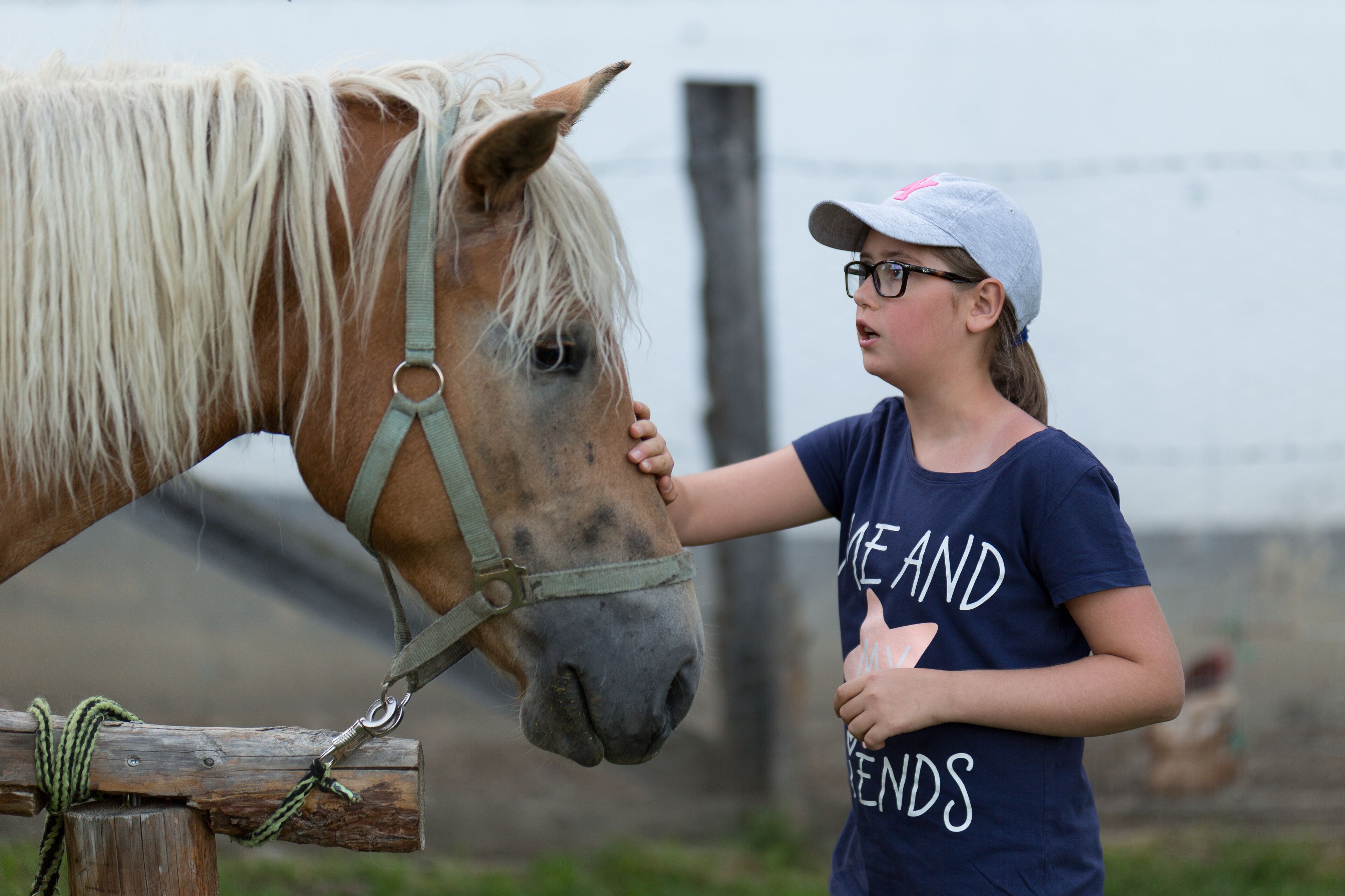A person petting a horse.
