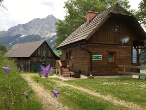 Exterior detail - Schachneralm (Irdning-Donnersbachtal)
