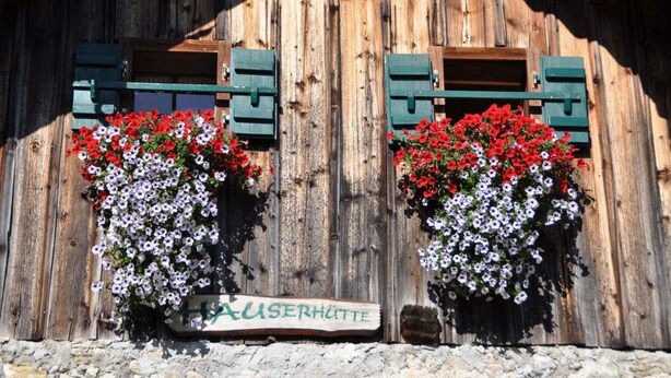 Unclassified image, 1 of 16, button - Hauserbauer (Hintersee)