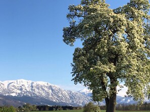 Exterior - Weslhof (Attersee)