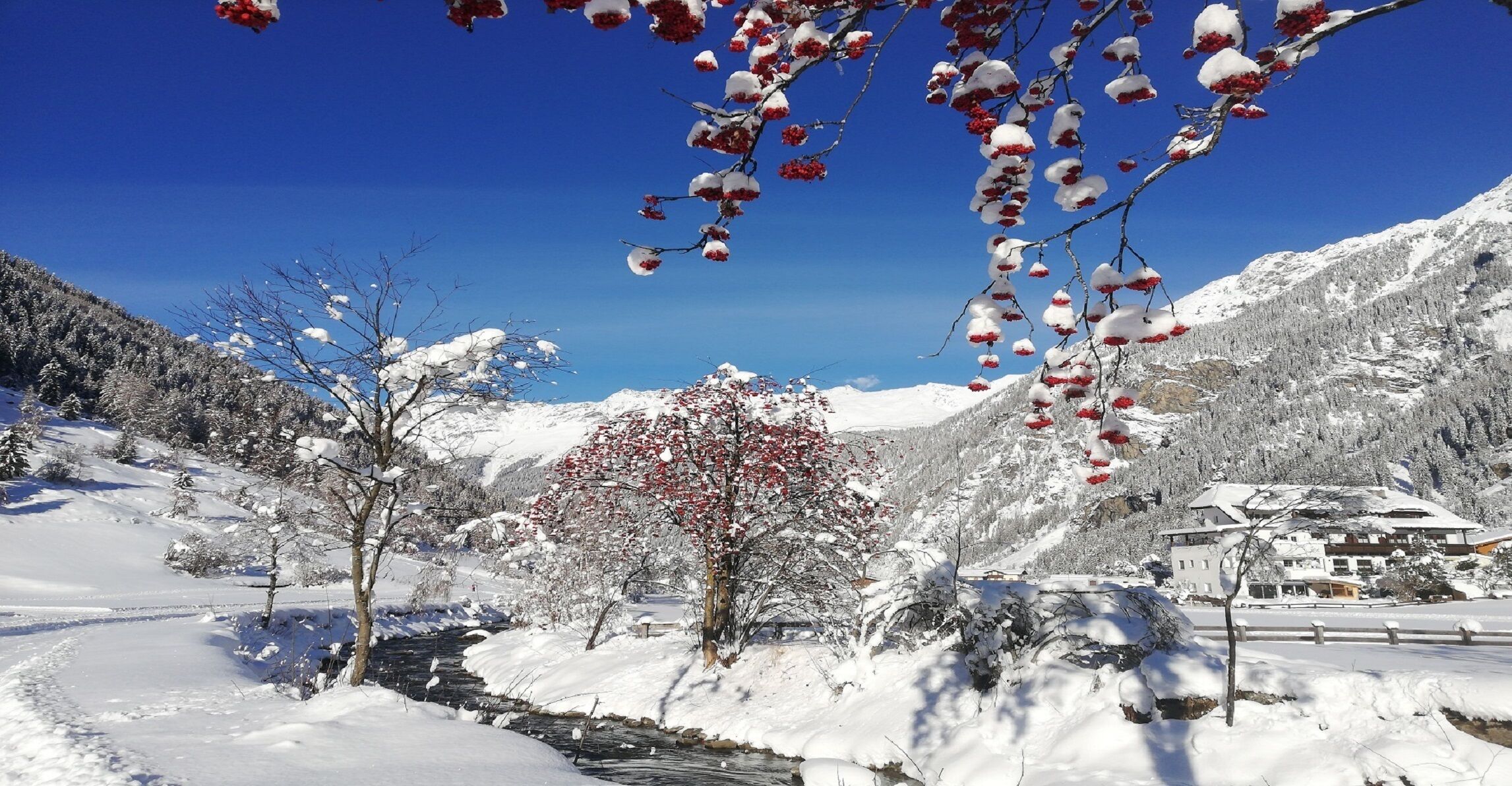 Vista al paisaje