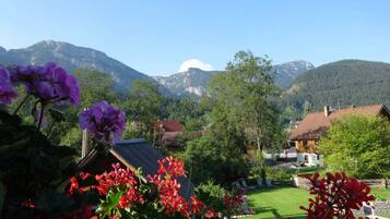 Pemandangan dari properti