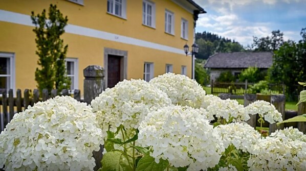 Front of property - Urguad (Ulrichsberg)