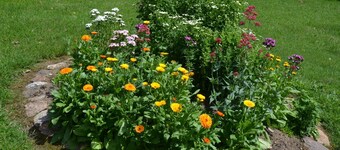 Ferienhaus am Jakobsweg