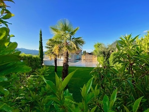 Surrounded by lush tropical plants and a palm tree, this serene setting offers a peaceful escape.