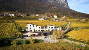 A modern house with a vineyard in the foreground and a mountain in the background. - The key to more freedom (Eppan an der Weinstrasse)