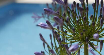 Prix ââspĂ©cial: villa en pierre avec piscine privĂ©e, calme