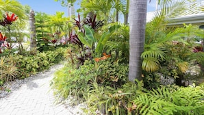 A garden pathway surrounded by lush tropical plants and palm trees.