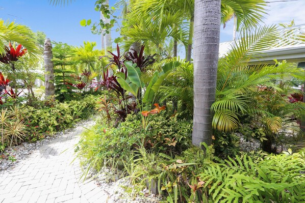 Ein Gartenweg, umgeben von üppigen tropischen Pflanzen und Palmen.