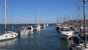 A marina with multiple sailboats docked in calm waters.
