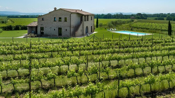 Ein Steingebäude mit Pool inmitten von Weinbergen.