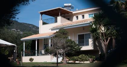 Sunny garden villa