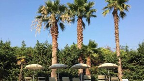 A pool area with lounge chairs and umbrellas, surrounded by palm trees.