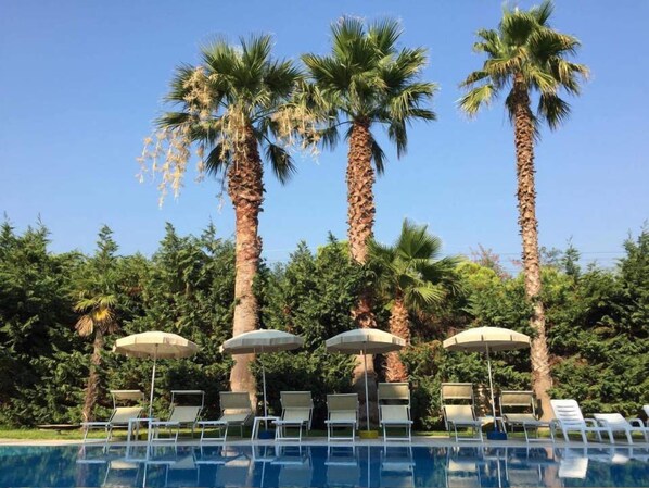 A pool area with lounge chairs and umbrellas, surrounded by palm trees.