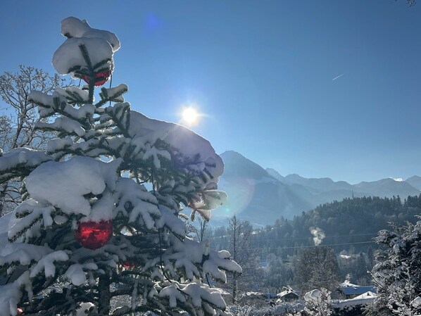 Un árbol cubierto de nieve con un adorno rojo, un cielo despejado y montañas al fondo.