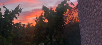 Quiet Villa 50 meters from the sea