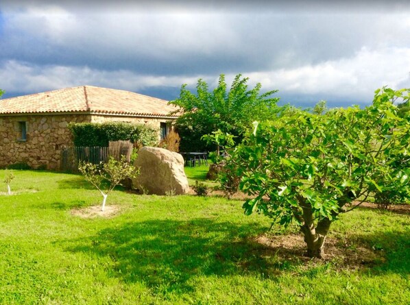 Property grounds - Rosumarinu Apartment (Figari)