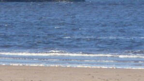 A lighthouse on a pier extending into the sea with waves gently lapping at the base. - Stunning harbour side Gold graded apartment for two with secure parking (Berwick upon Tweed)