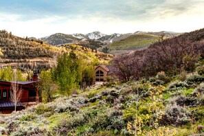 Une cabane dotée d’une grande fenêtre, entourée d’une forêt dense et avec des montagnes en arrière-plan.