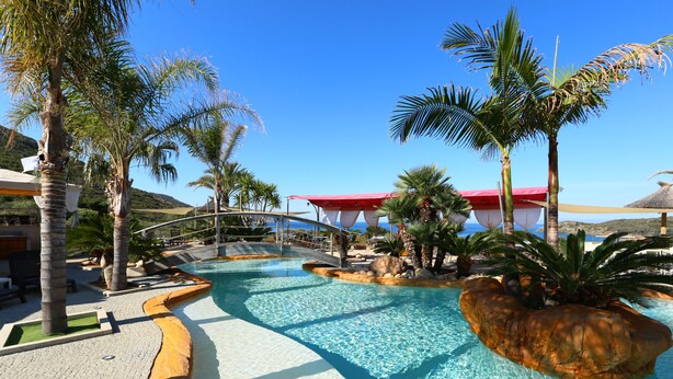 Un área de piscina con diseño curvo, palmeras y un puente.
