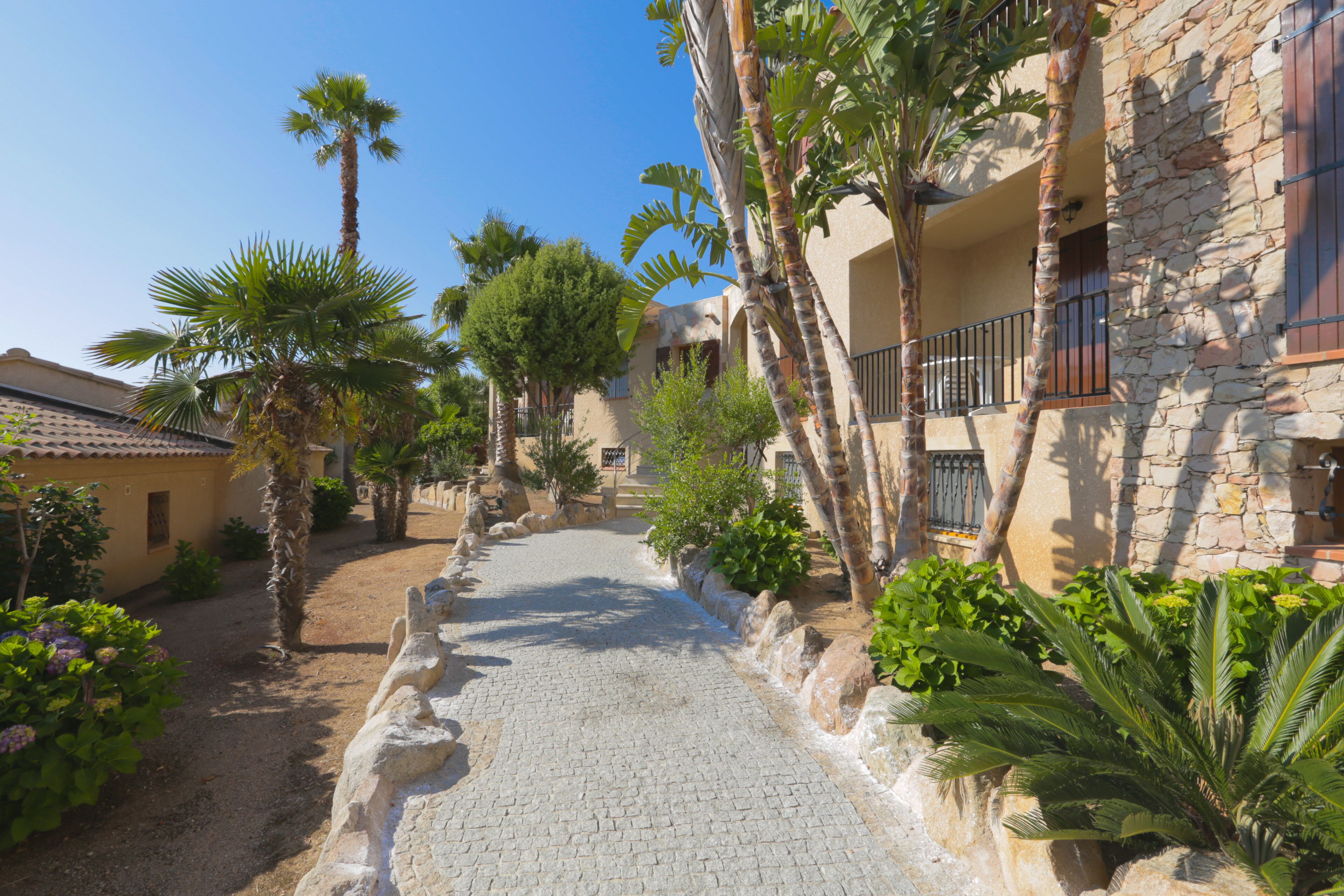 A cobblestone pathway flanked by palm trees and a stone building with balconies.