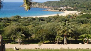 Un paisaje costero con playa, vegetación densa y una vista despejada del mar.