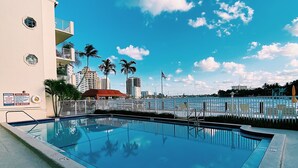 A swimming pool with a clear blue sky and palm trees in the background.