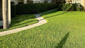 A multi-story hotel with balconies, a well-maintained lawn, and palm trees.