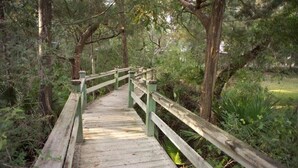 A wooden boardwalk through a forested area with railings and trees.
