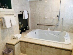 Free toiletries, hair dryer