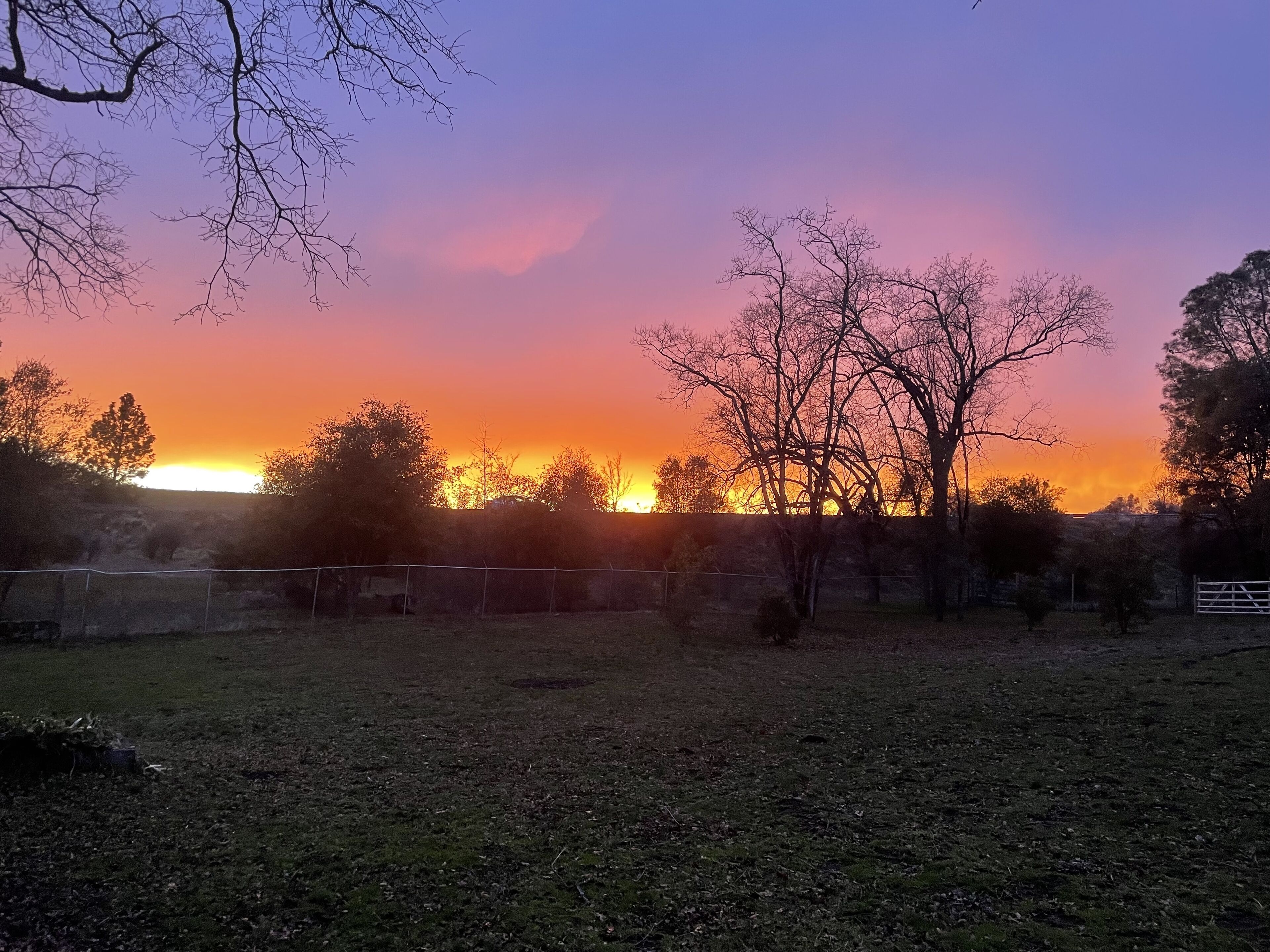 Un atardecer sobre un campo cubierto de hierba, con árboles y una cerca al frente.