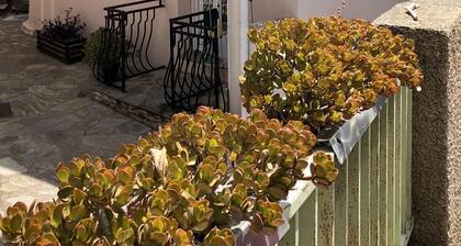 Cosy air-conditioned Village House 450m from the beach, 2km from Cap Corse town
