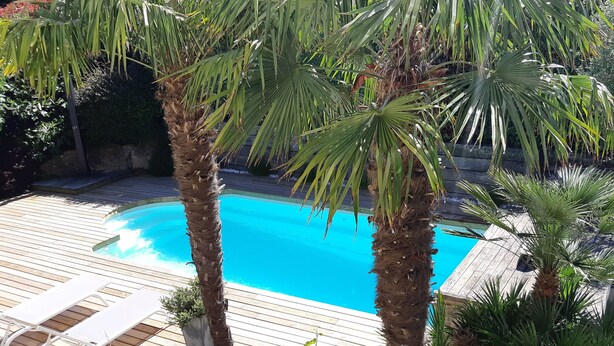 Una piscina rodeada de palmeras y sillas de madera.