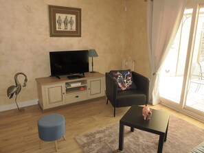 Télévision, lecteur de DVD, livres, vidéothèque