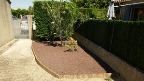 Een aangelegde tuin met een verhard pad, een kleine boom en een haag.