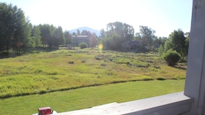A view from a window overlooking a grassy field with trees and a building in the distance. - MOOSE-WILSON ROAD- WILSON, WY- PERFECT LOCATION AND GREAT FAMILY RETREAT! (Wilson)