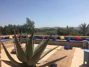 Property grounds - PALAIS TAFOUKT: 2 luxury Riads and a Garden of Eden (Taroudant)