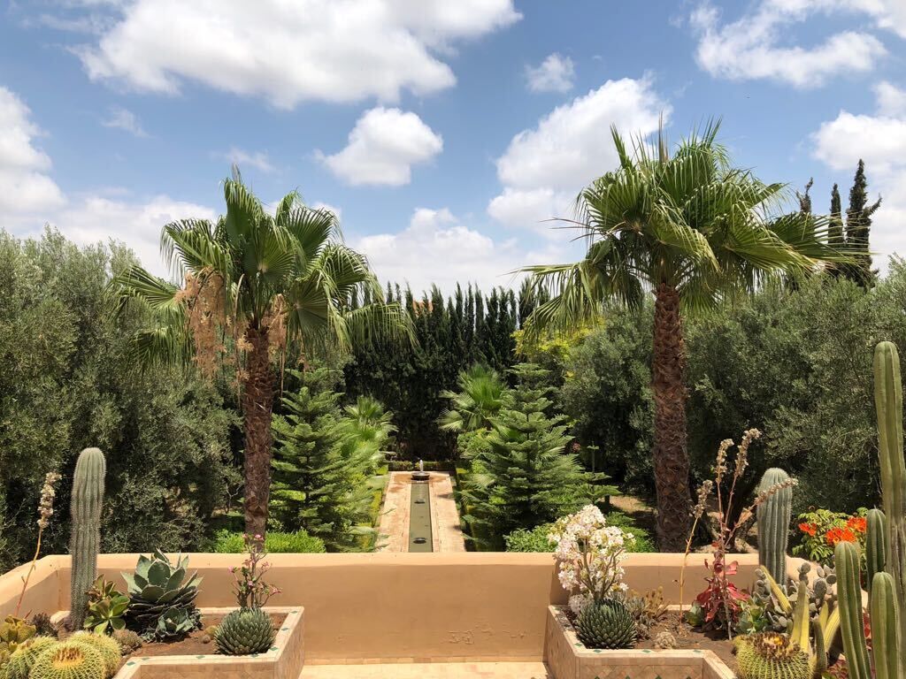 المنطقة المحيطة بالمنشأة