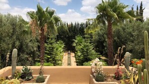 Un jardín desértico con cactus y palmeras.